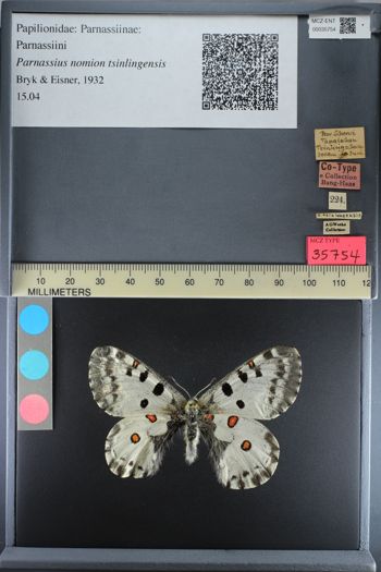 Media type: image;   Entomology 35754